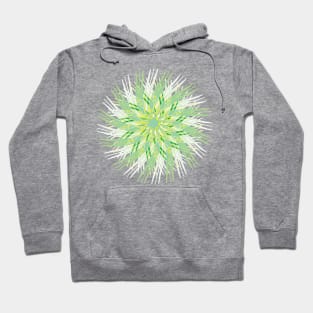 Celtic Knot 16 Hoodie